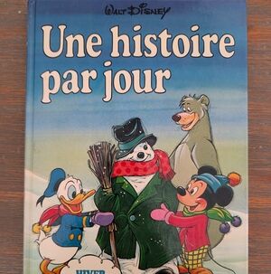 Disney Storybook with Donald Duck and Mickey Mouse - Blue and Green Cover